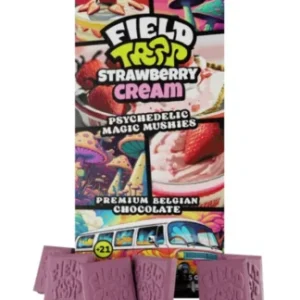 Strawberry Cream Field Trip Magic Mushies Premium Belgian Chocolate