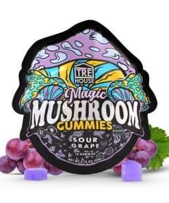 Sour Tree Magic Mushroom Gummies 2